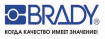 Brady